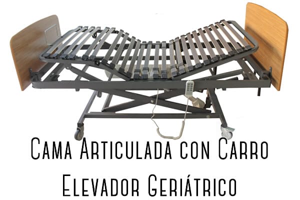 Cama Articulada Geriátrica