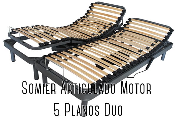 Somier Articulado 5 Planos Dúo